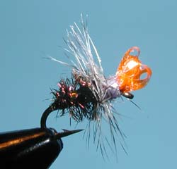 Montana Special