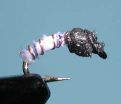Miracle Midge Variant