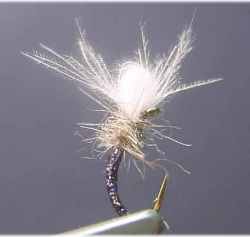 CDC Holographic Midge