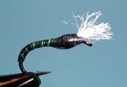Black Epoxy Buzzer