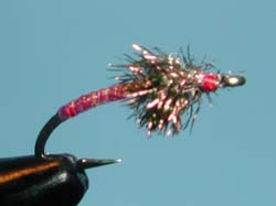 Disco Midge