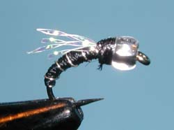 Zebra Crystal Midge