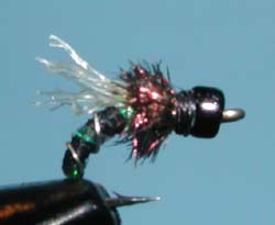 BH Zebra Emerger