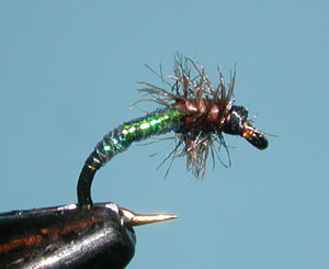 Disco Midge