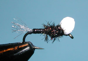 Midge Winker