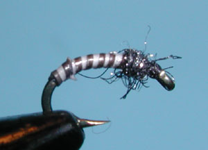 Moose Mane Midge