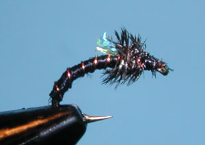 Crystal Black Beauty