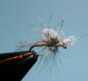 Midge Emerger