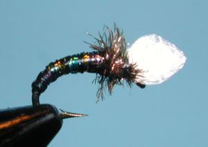 RB Suspender Pupa