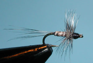 Mosquito 