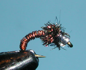 Mercury Brassie
