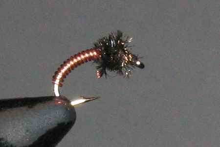 Image of Brassie
