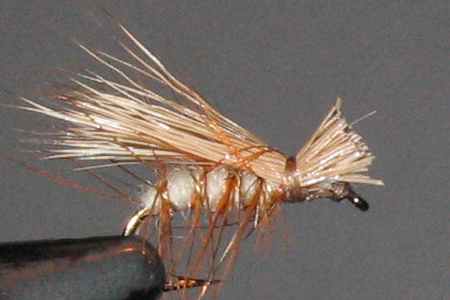 Image of Elk Hair Caddis