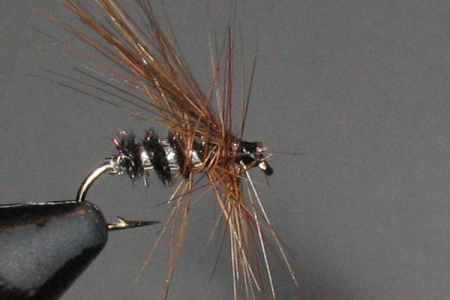 image of Leadwing COachman