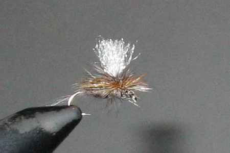 Image of Parachute Adams