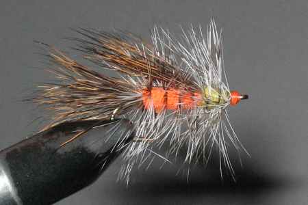 Fly Image