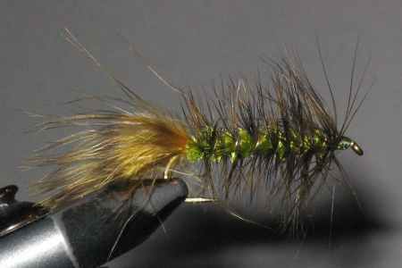 Image of Olive Bugger