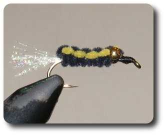 Fly image