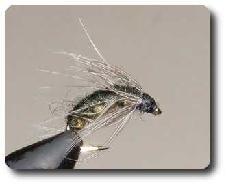 Fly image