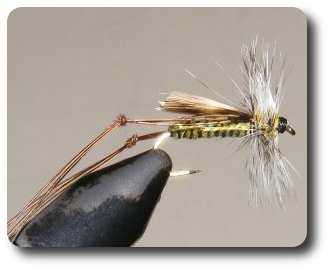 Woven Hopper image