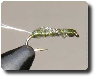 Woven Sowbug image
