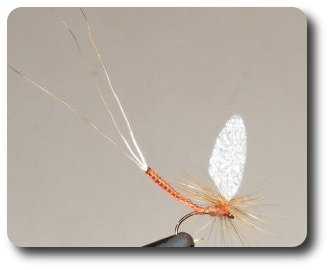 Image of Tonys Knit Picking Mayfly