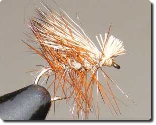 Elk Hair Caddis image