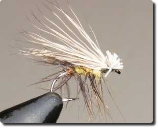 EHC image