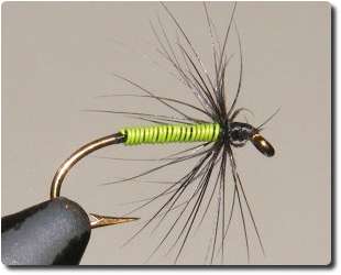 Soft Hackle image