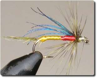 Fly image