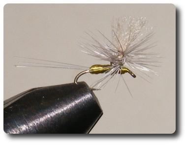 BWO Parachute image