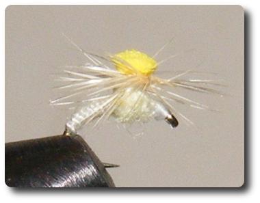 Cream Parachute Midge image