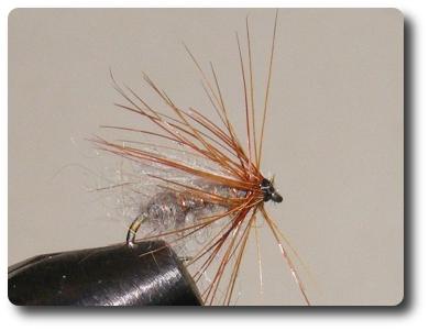 Culard Dry image