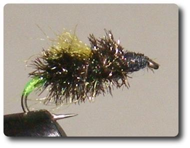 Peacock and Antron Emerger image