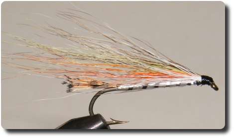 Bucktail image