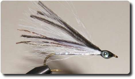 Winnipesaukee Smelt image