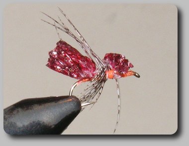 Foam Spider image