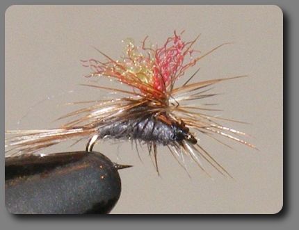 Parachute Adams Variant image