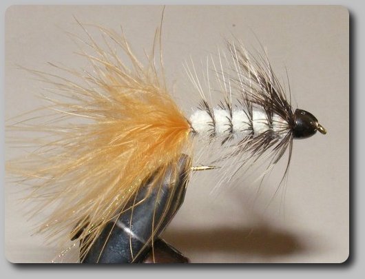 Unknown bugger