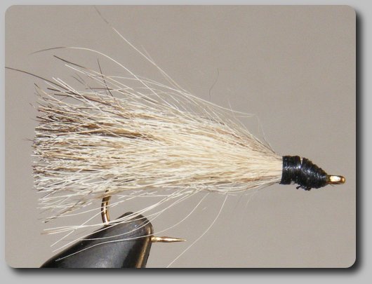 Coyote Tail