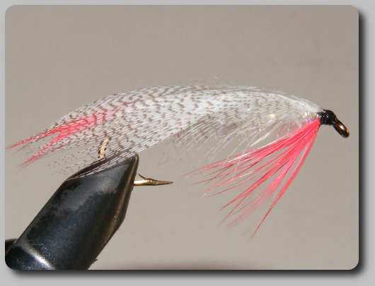 Coyote Tail