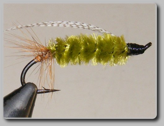 Sheep Creek Special
