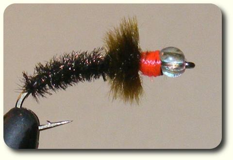 Bead Head Peacock Bug image