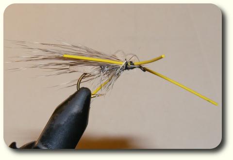 Arkansas Hopper image