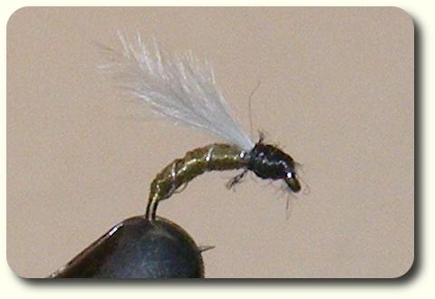 Emerger image